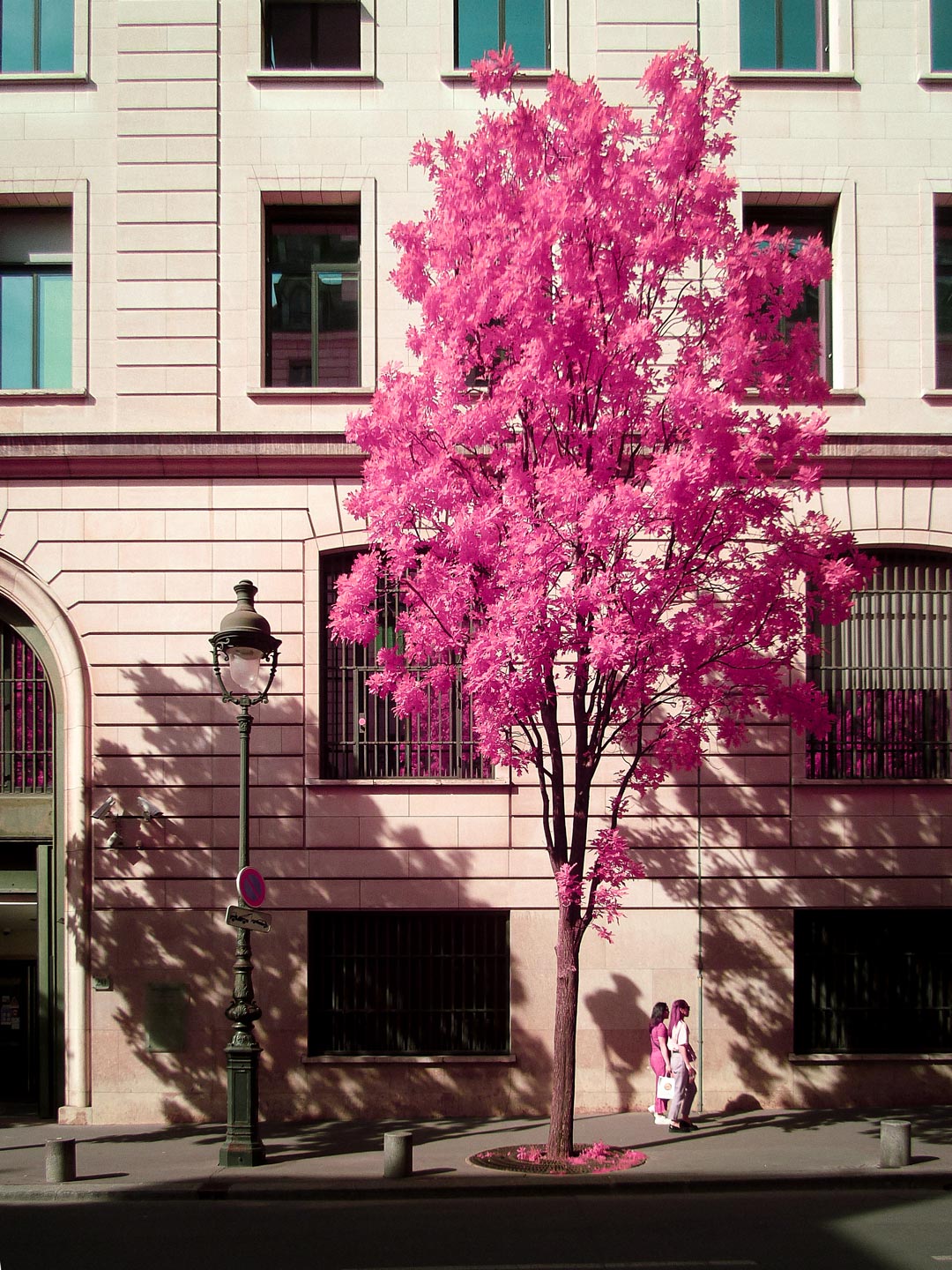 AFTERNOON VISION