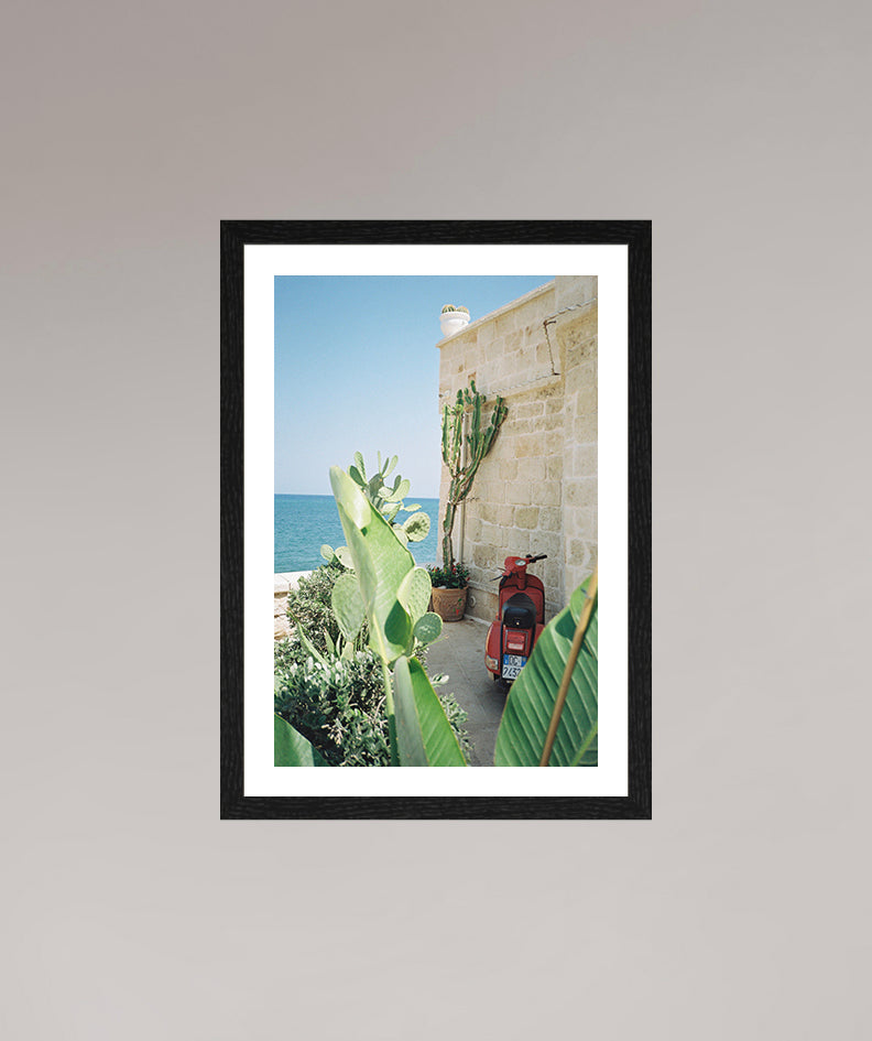 Monopoli