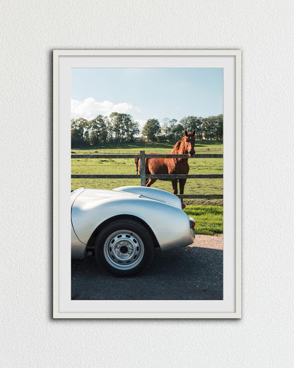 HORSE PORSCHE