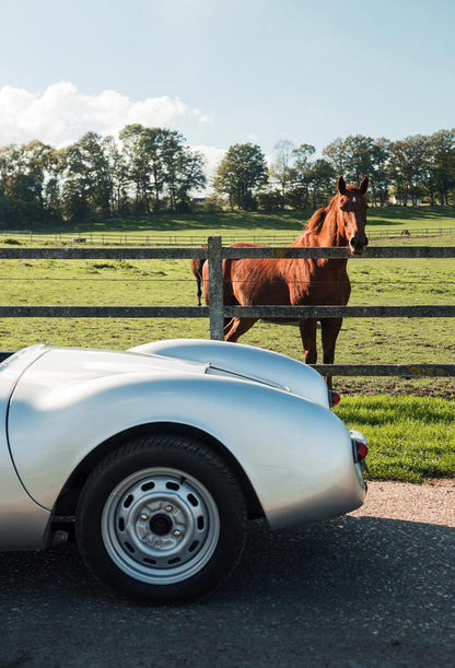 HORSE PORSCHE
