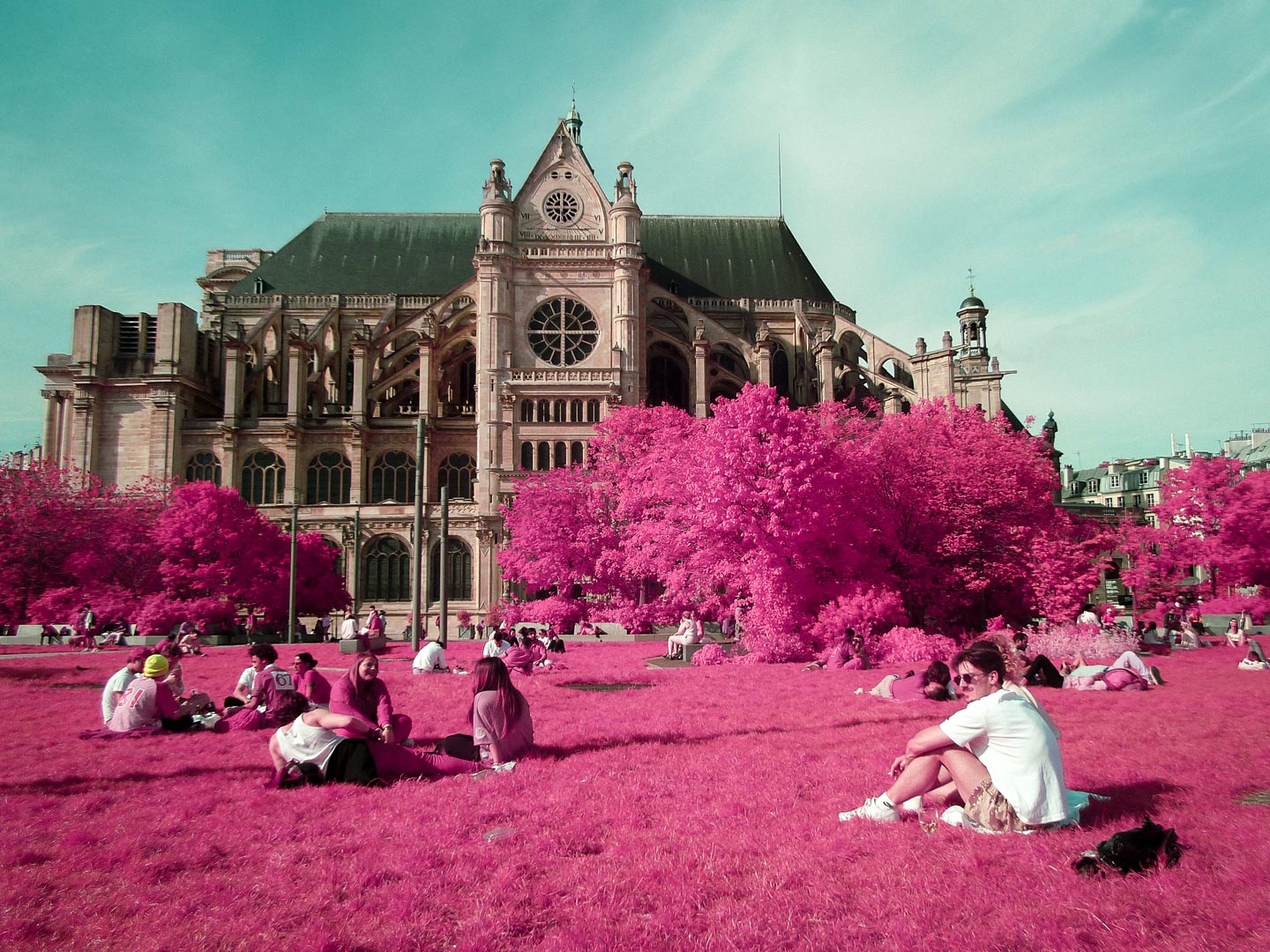 PARISIAN SIESTA