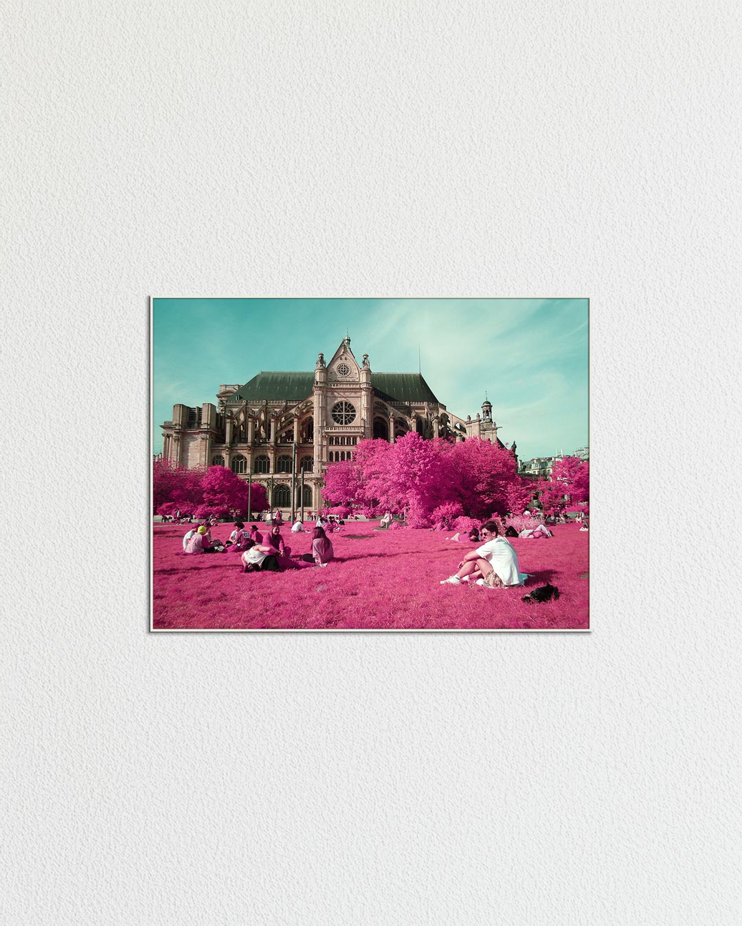 PARISIAN SIESTA