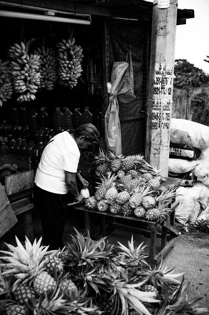 Pineapple