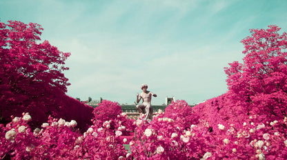 STATUE OF PARIS